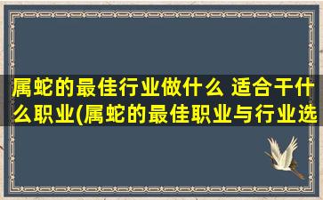 属蛇的最佳行业做什么 适合干什么职业(属蛇的最佳职业与行业选择，全面解析！)